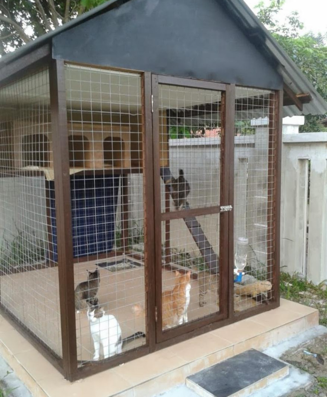 Detail Rumah Kucing Besar Nomer 2