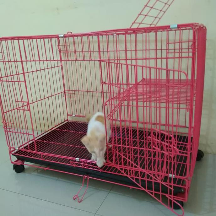 Detail Rumah Kucing Besar Nomer 28