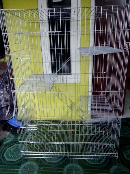 Detail Rumah Kucing Besar Nomer 36