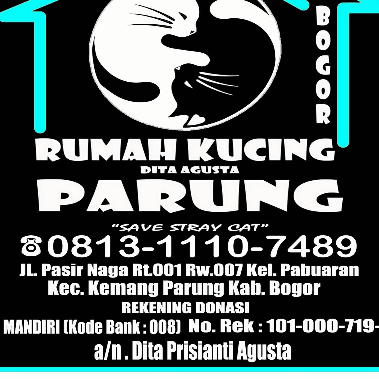 Detail Rumah Kucing Bogor Nomer 14