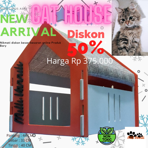 Detail Rumah Kucing Bogor Nomer 56