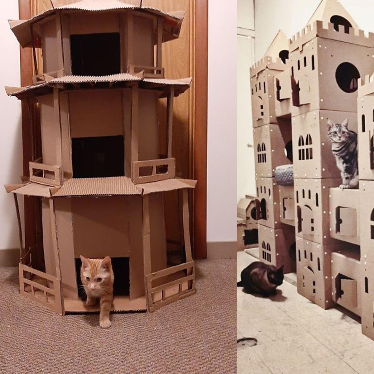 Rumah Kucing Dari Kardus - KibrisPDR