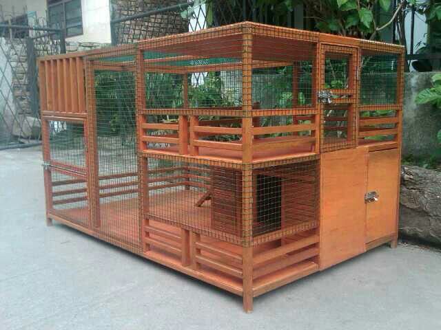 Detail Rumah Kucing Dari Kayu Nomer 11