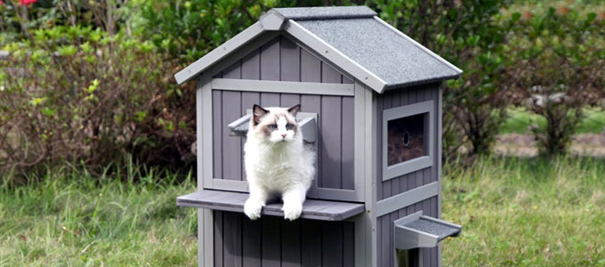 Detail Rumah Kucing Dari Kayu Nomer 35