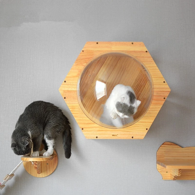 Detail Rumah Kucing Dinding Nomer 17