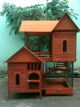 Detail Rumah Kucing Diy Nomer 27