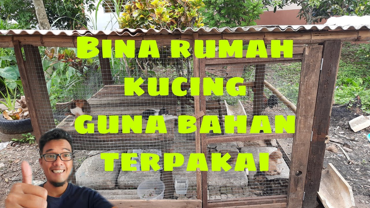 Detail Rumah Kucing Diy Nomer 52