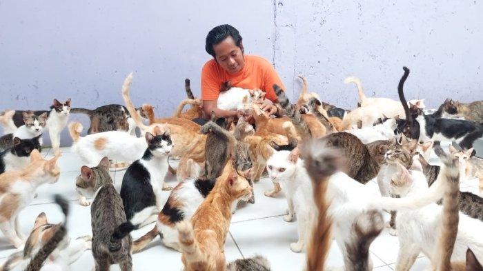 Detail Rumah Kucing Jakarta Nomer 32