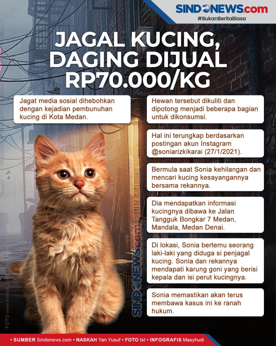 Detail Rumah Kucing Medan Kota Medan Sumatera Utara Nomer 9