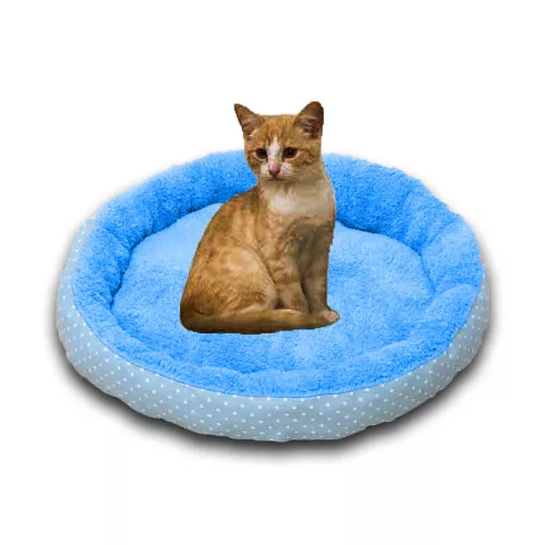 Detail Rumah Kucing Murah Nomer 46