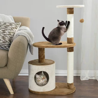 Detail Rumah Kucing Persia Nomer 30