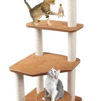 Detail Rumah Kucing Persia Nomer 7