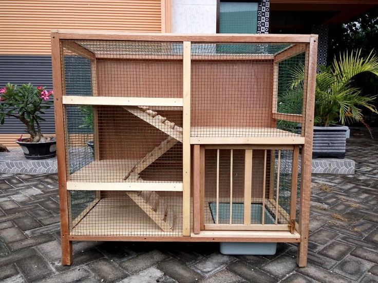 Detail Rumah Kucing Sederhana Nomer 14