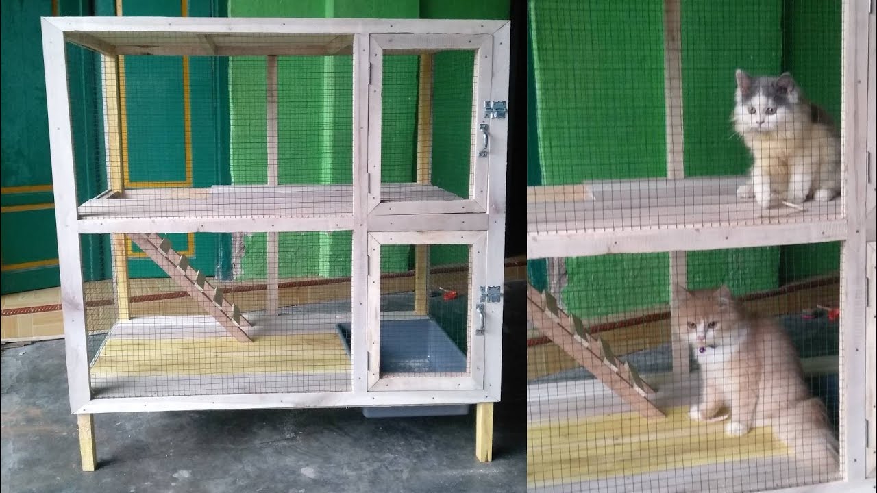 Detail Rumah Kucing Sederhana Nomer 26