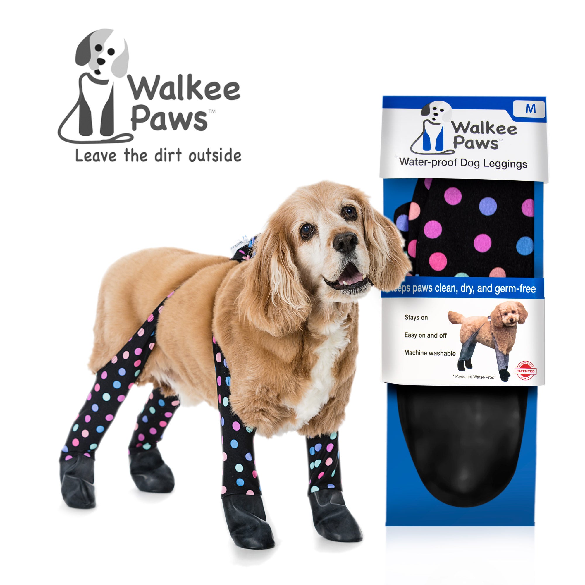 Walkee Paw - KibrisPDR