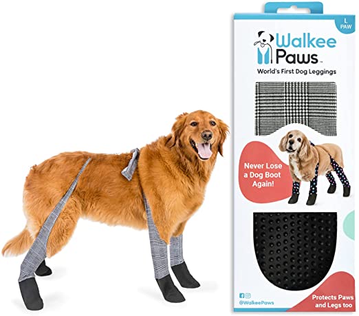 Detail Walkee Paw Nomer 50