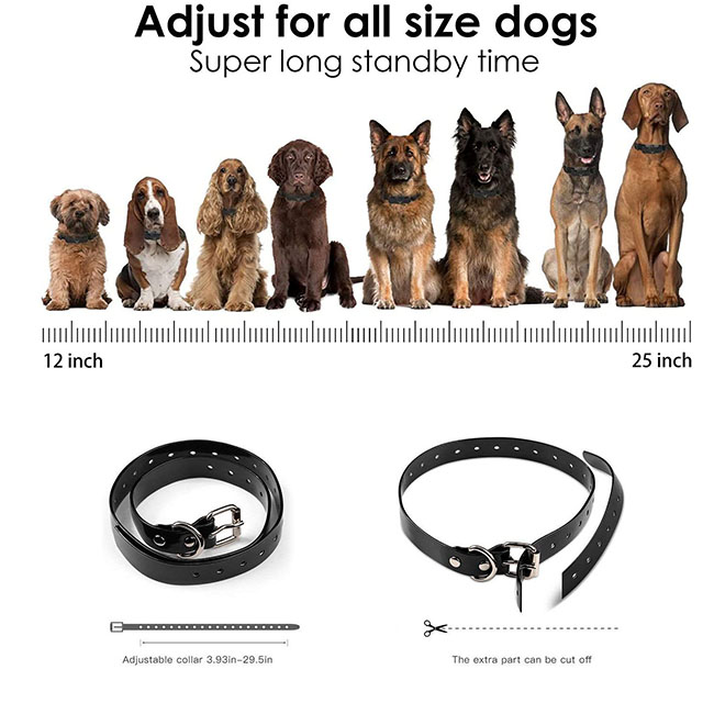 Detail Walkie Talkie Dog Collar Nomer 40