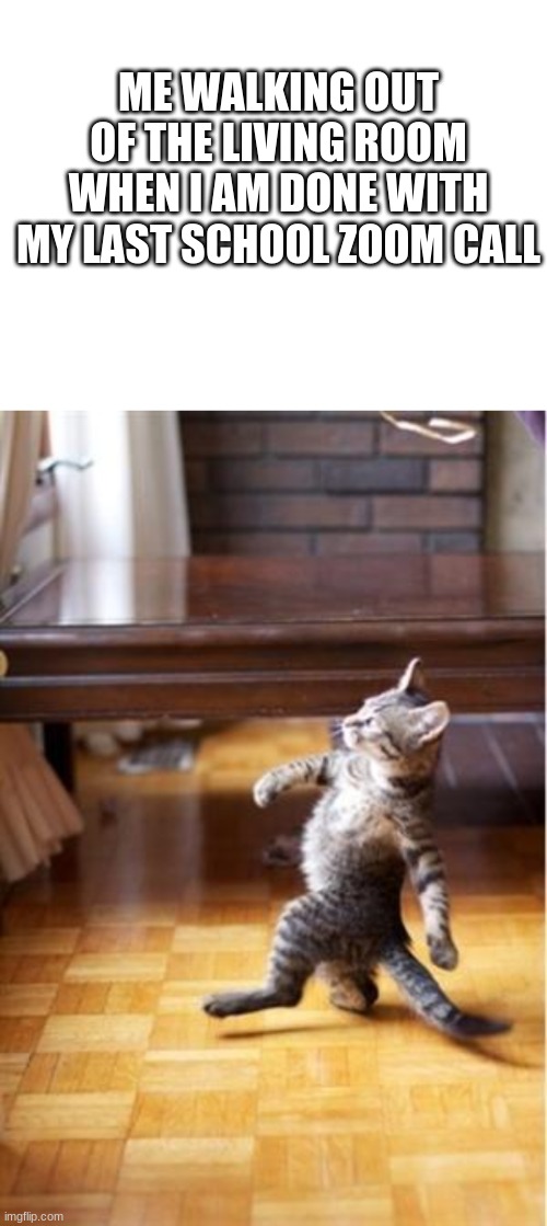 Detail Walking Cat Meme Nomer 10