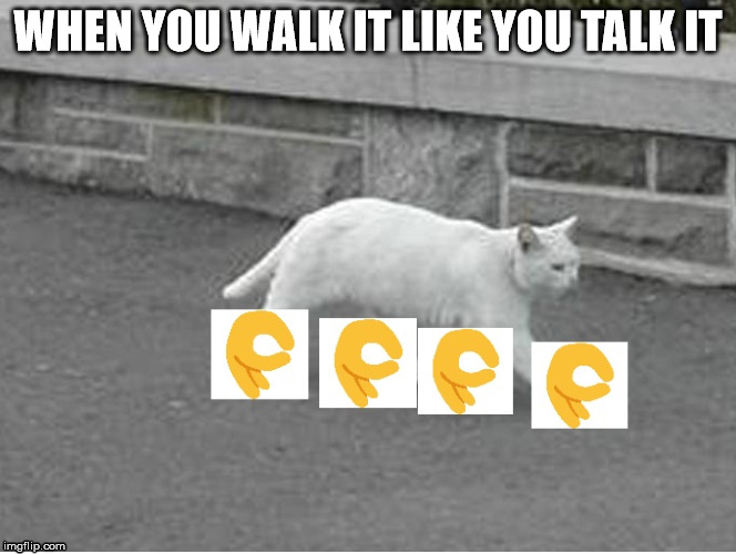Detail Walking Cat Meme Nomer 39