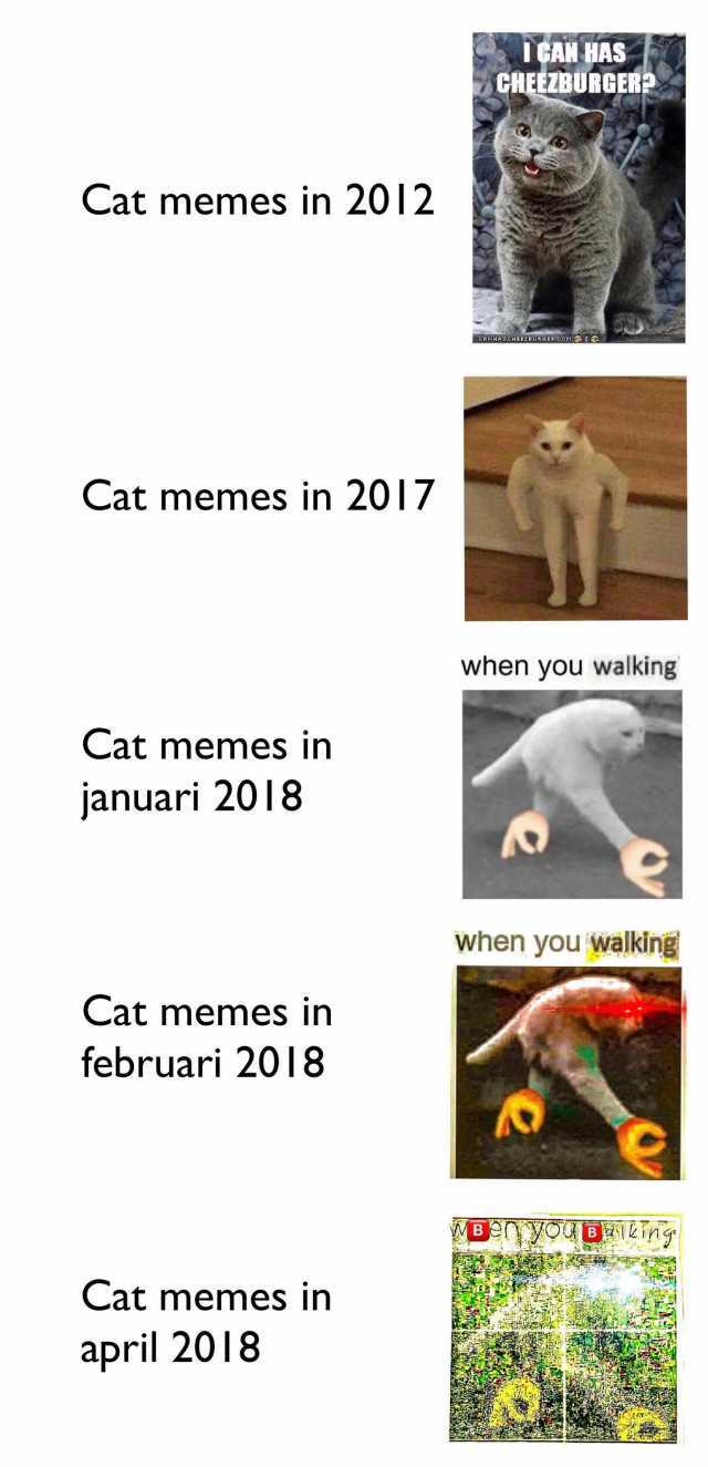 Detail Walking Cat Meme Nomer 40