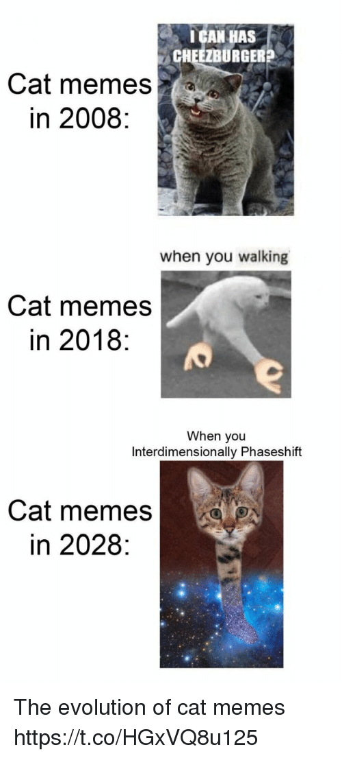 Detail Walking Cat Meme Nomer 46