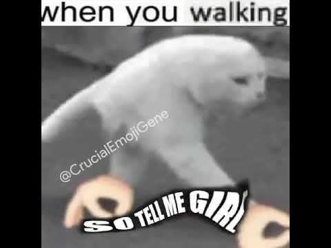 Detail Walking Cat Meme Nomer 47