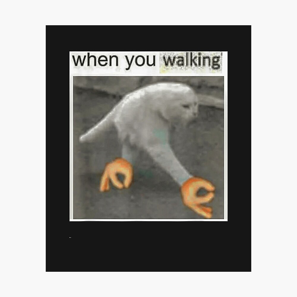 Detail Walking Cat Meme Nomer 49