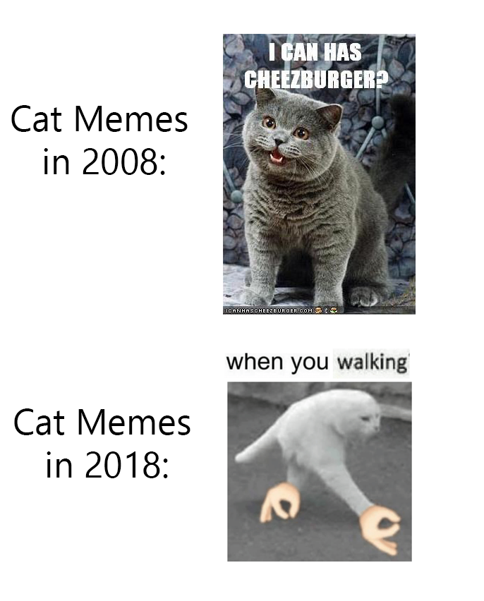Detail Walking Cat Meme Nomer 7