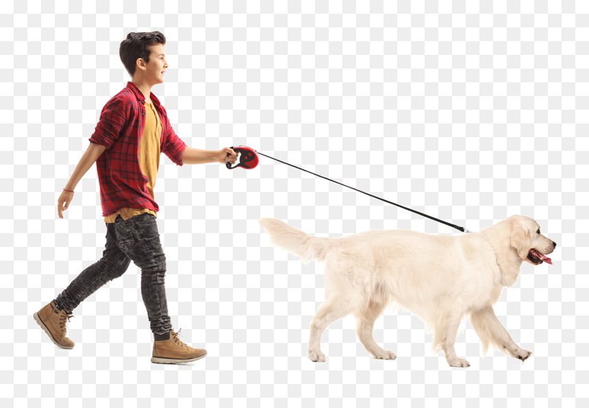 Detail Walking Dog Png Nomer 11