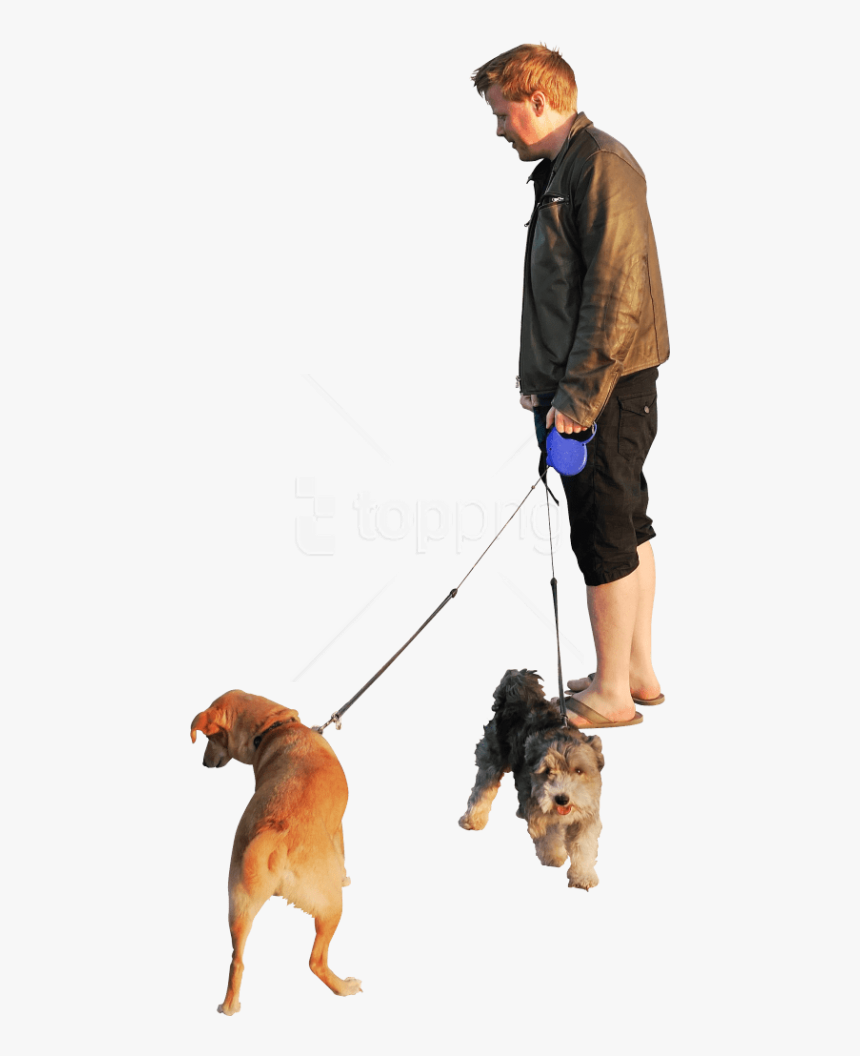 Detail Walking Dog Png Nomer 13