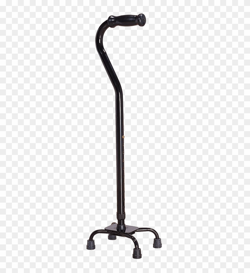 Detail Walking Stick Png Nomer 12