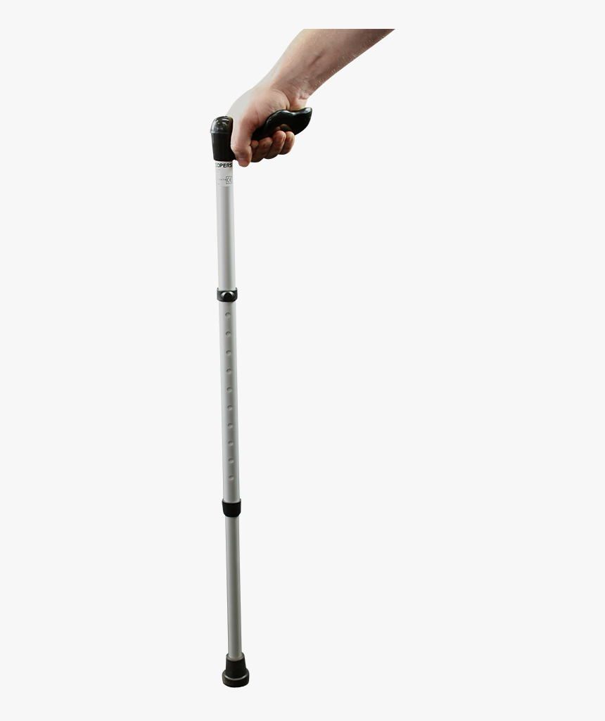 Detail Walking Stick Png Nomer 24