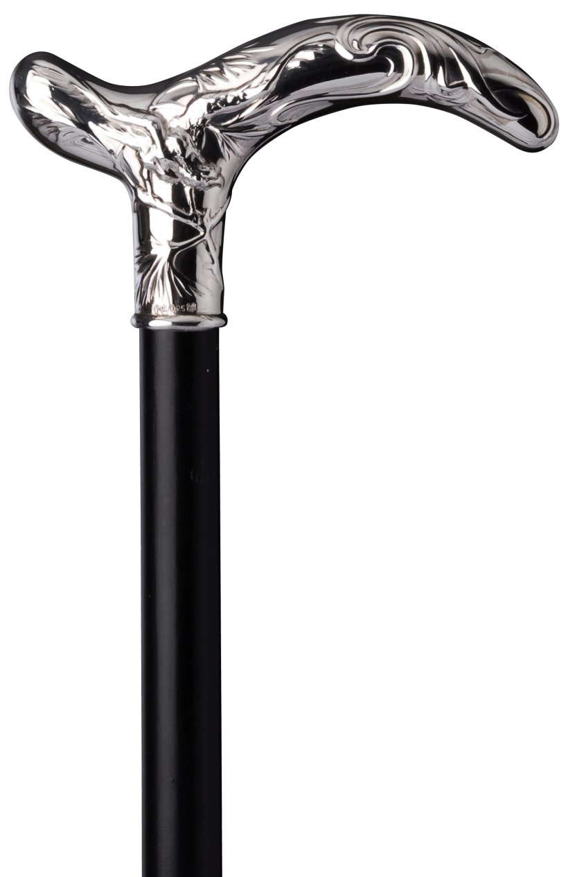 Detail Walking Stick Png Nomer 34