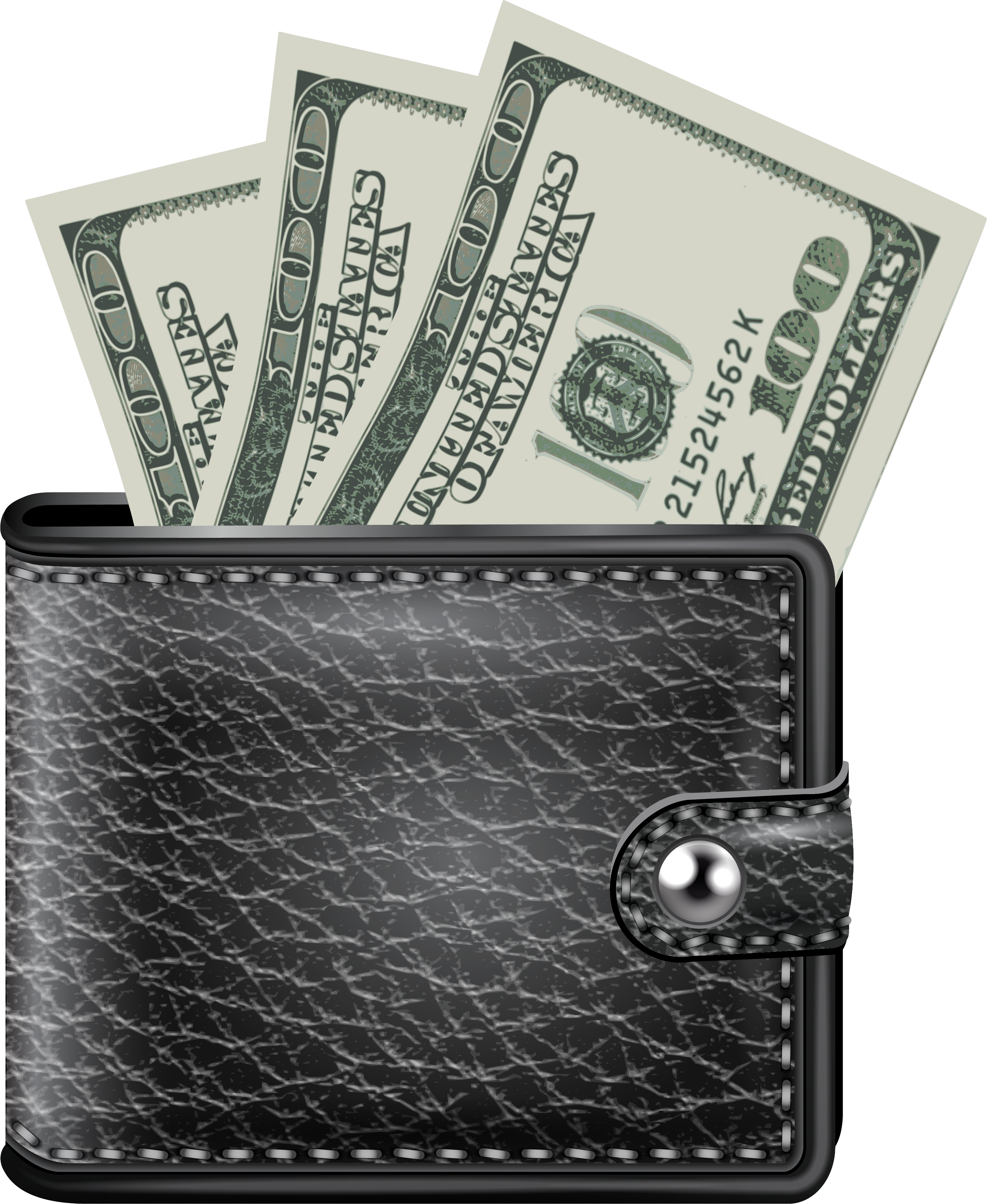 Detail Wallet With Money In It Nomer 19