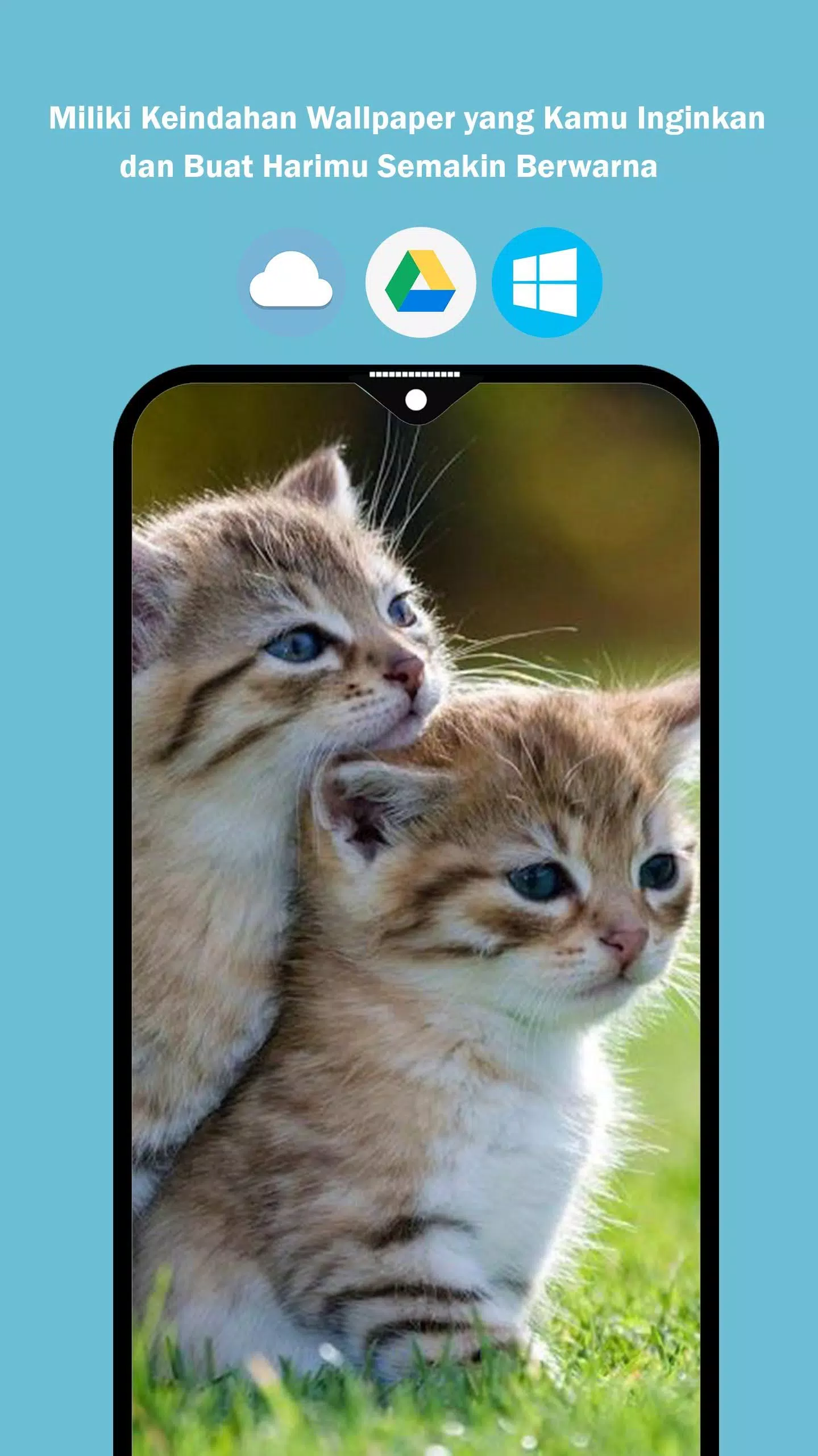 Detail Wallpaper 3d Kucing Nomer 46
