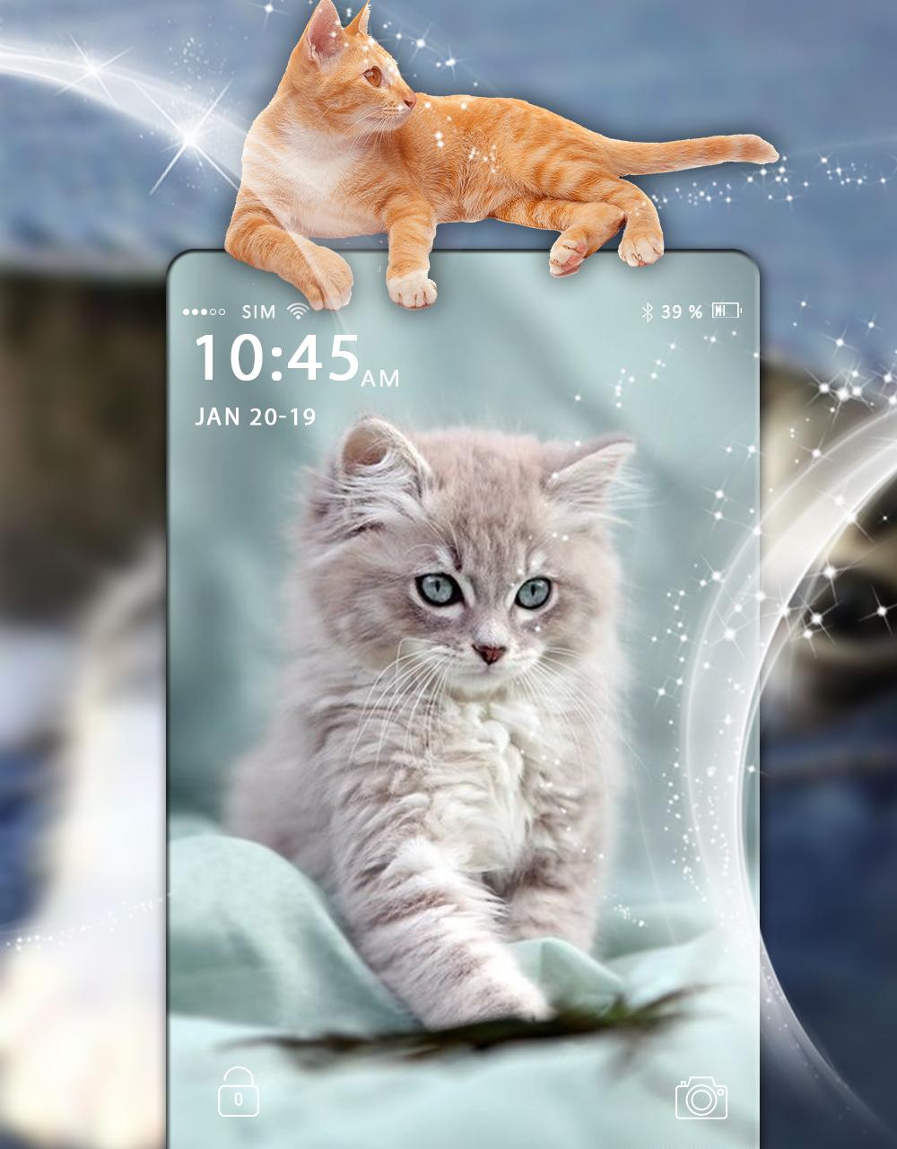 Detail Wallpaper 3d Kucing Nomer 49