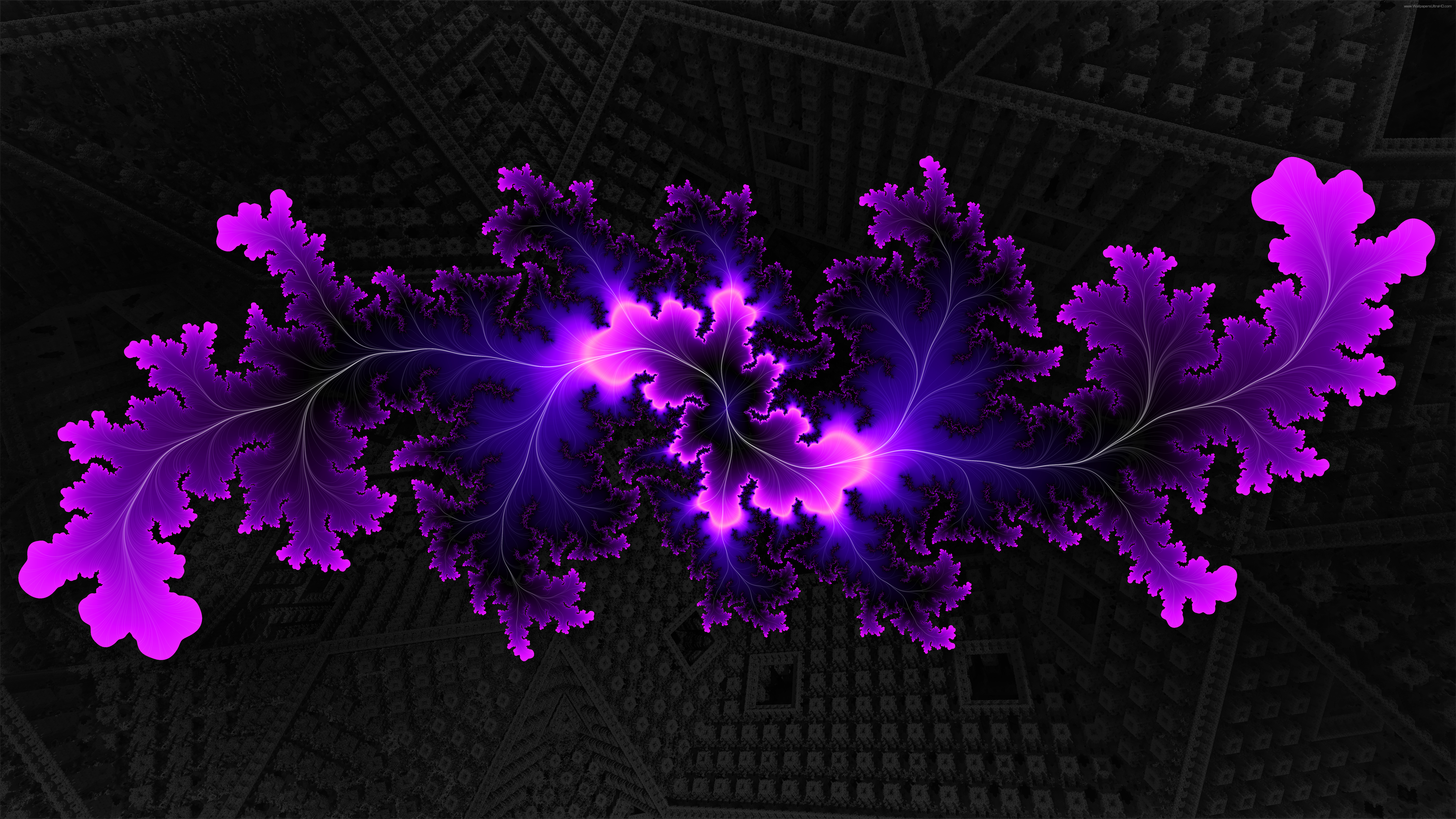 Detail Wallpaper 8k Resolution Nomer 49