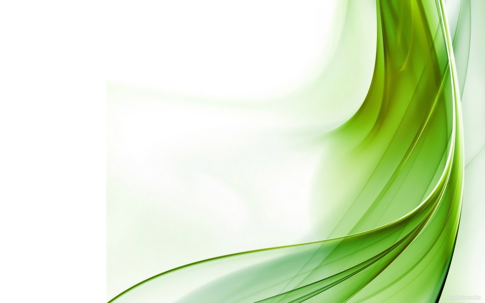 Detail Wallpaper Abstract Green Nomer 5