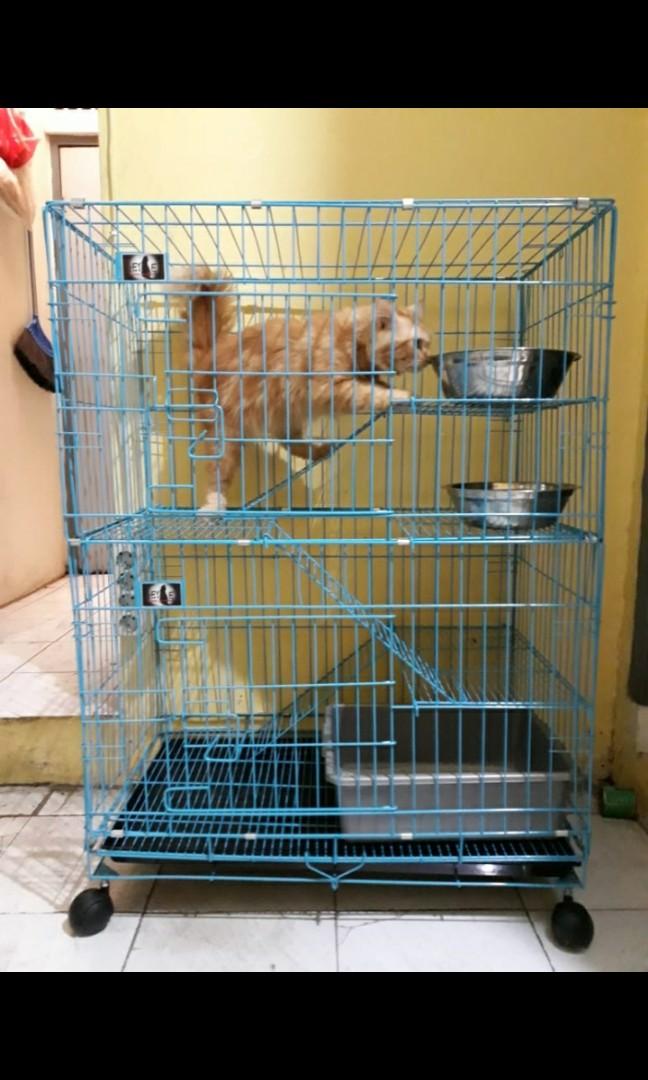 Detail Rumah Kucing Tingkat Nomer 23