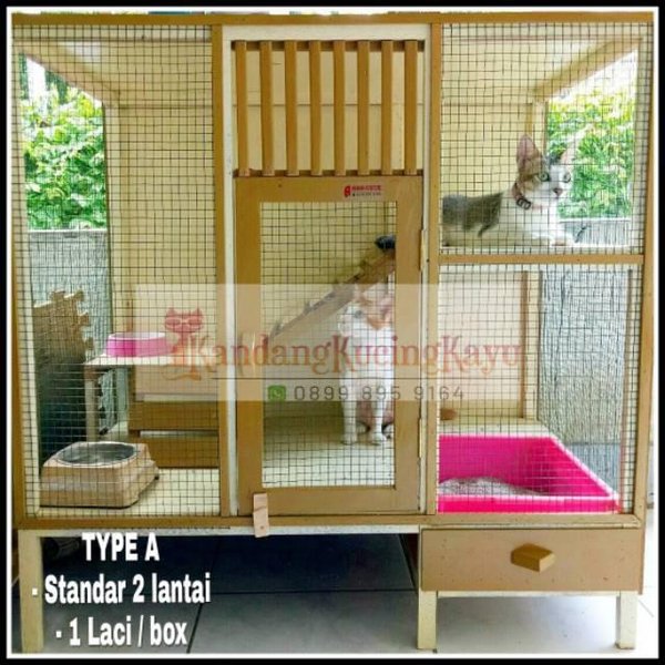 Detail Rumah Kucing Tingkat Nomer 7