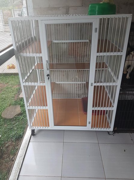 Detail Rumah Kucing Yang Bagus Nomer 20