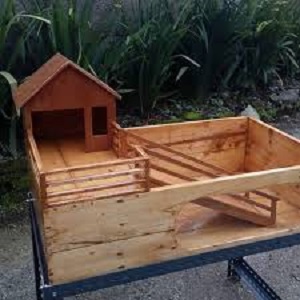 Detail Rumah Kura Kura Air Nomer 26