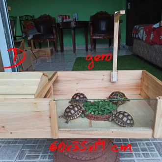 Detail Rumah Kura Kura Air Nomer 34