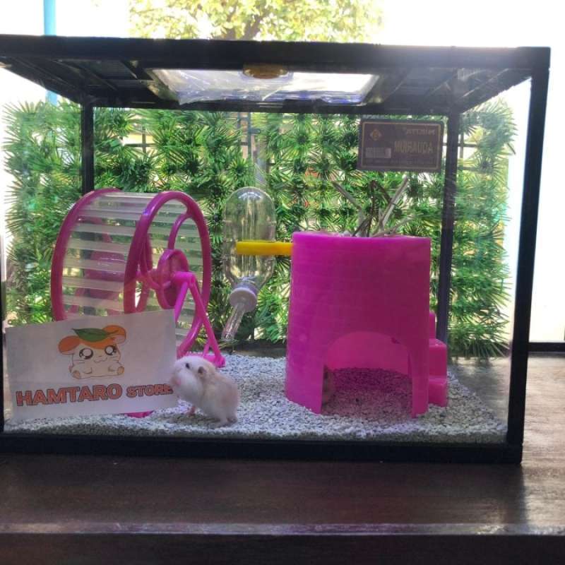 Detail Rumah Landak Mini Nomer 25