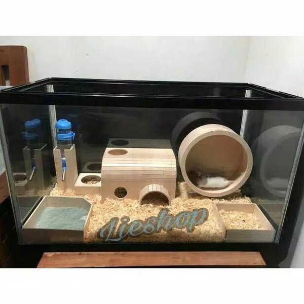 Detail Rumah Landak Mini Nomer 34