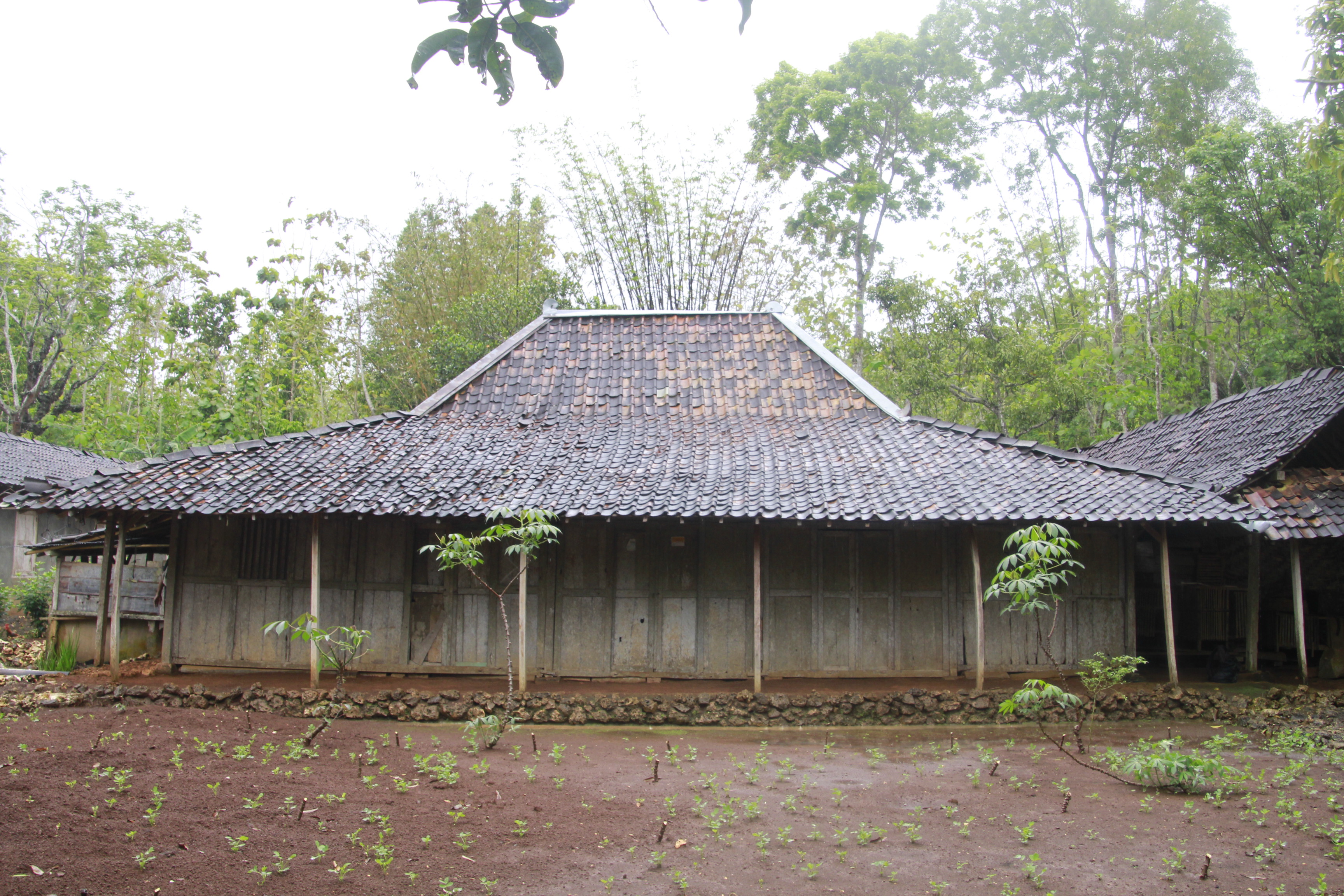 Detail Rumah Limasan Jogja Nomer 12