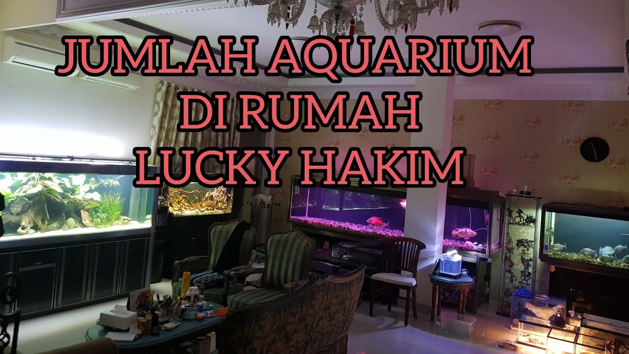 Detail Rumah Lucky Hakim Nomer 5