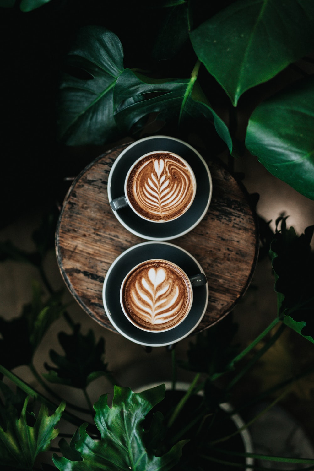 Detail Wallpaper Aesthetic Kopi Nomer 39