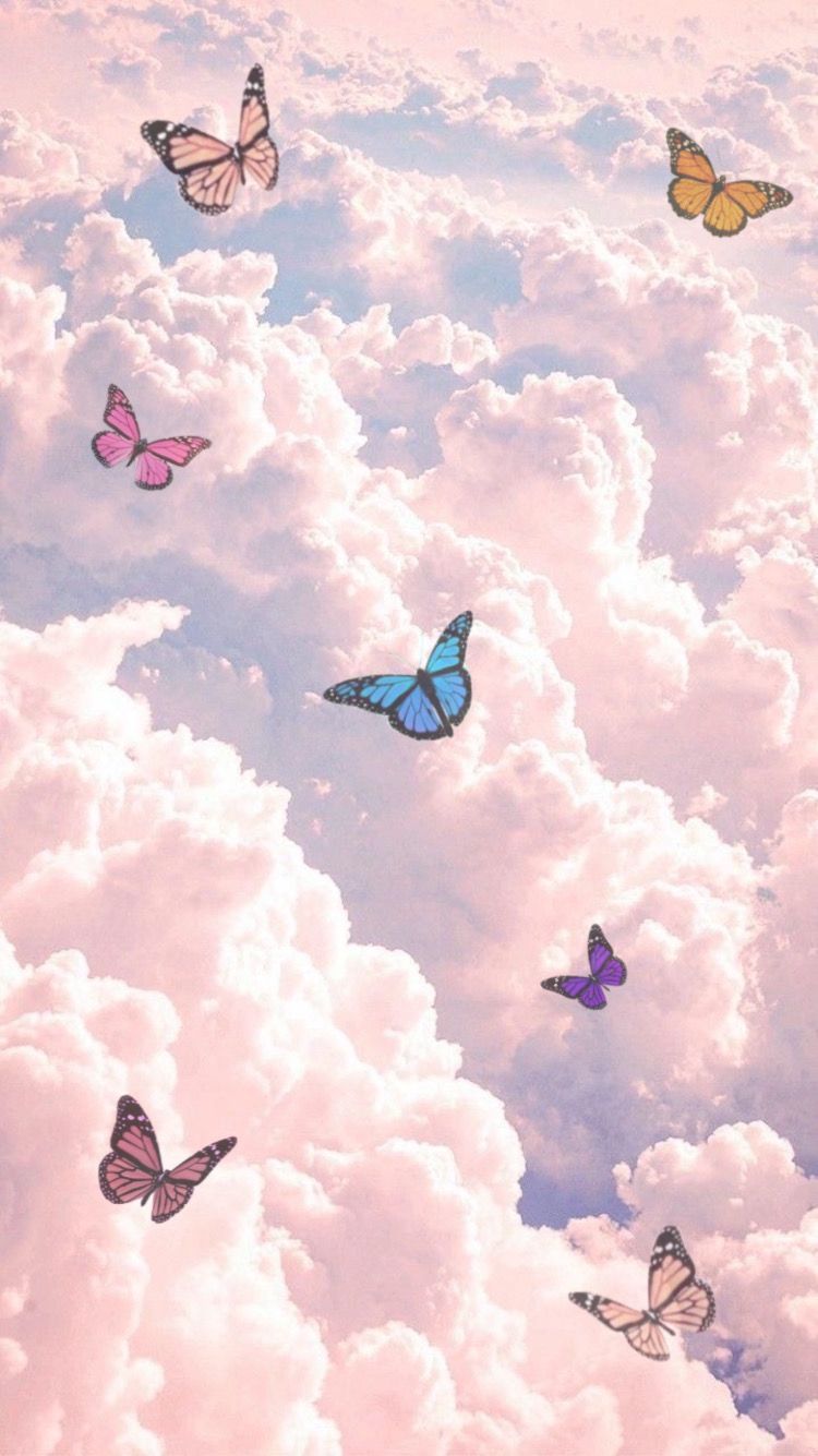 Detail Wallpaper Aesthetic Kupu Kupu Koleksi Nomer 3