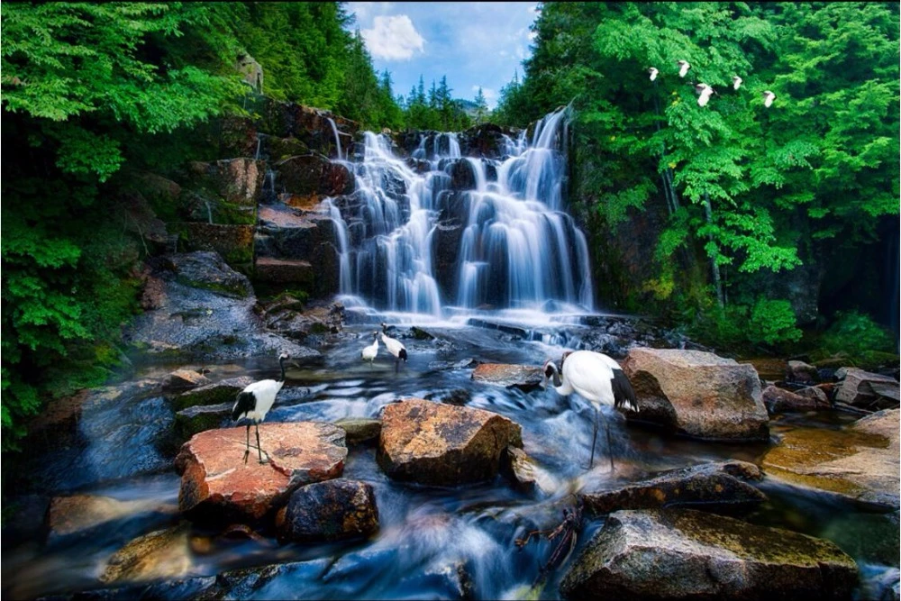 Detail Wallpaper Air Terjun 3d Nomer 19